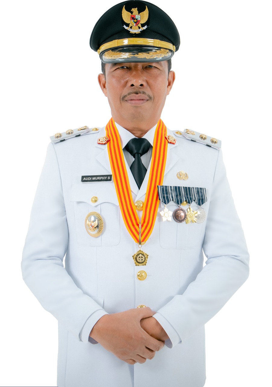 Wakil Bupati